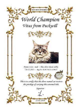 Wold Champion